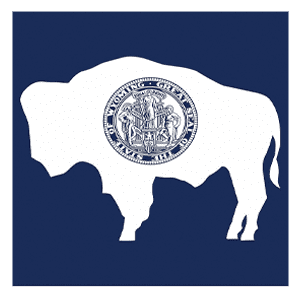 WY flag icon